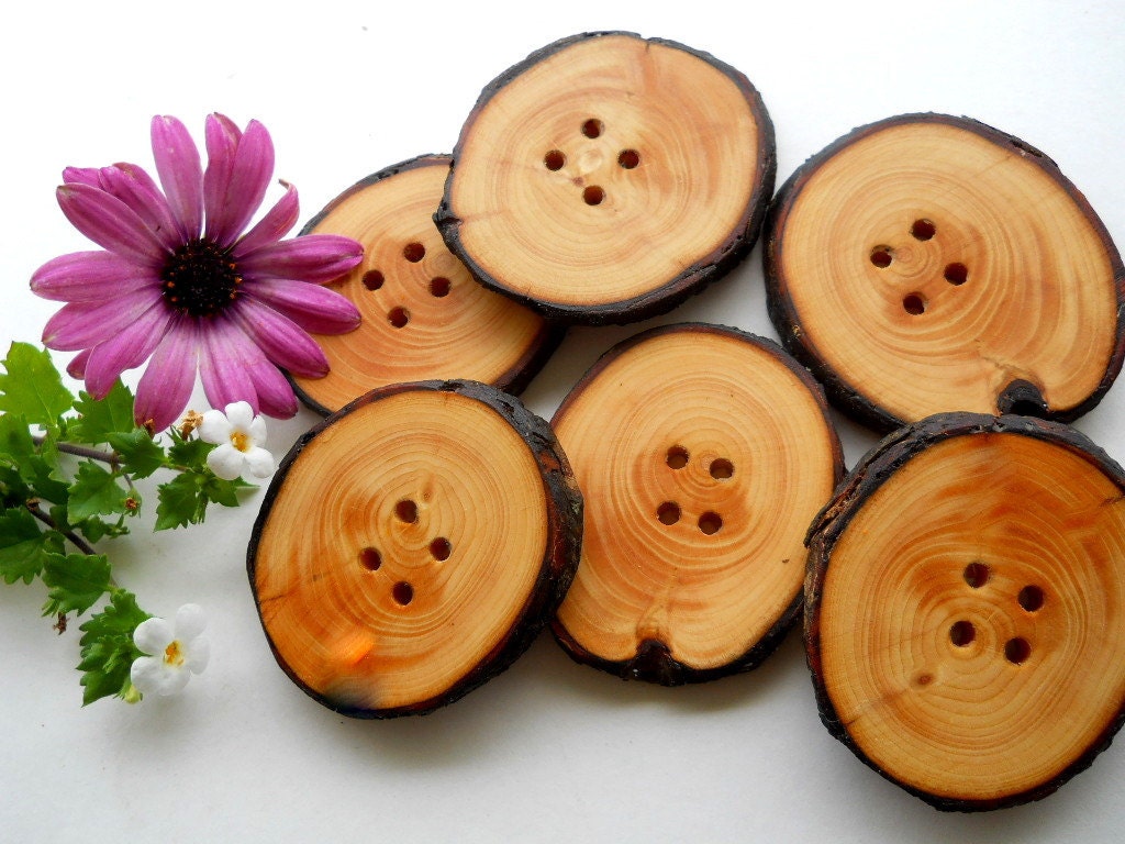 6 Wooden Buttons - White Spruce Tree Branch Buttons - 2 x 1 3/4 inch or 51 x 44 mm - for Hats, Scarves, Cowls, Pillows, bags