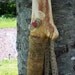Walking stick with FREE Shipping - natural finish 60 inch Woodland hiking staff
