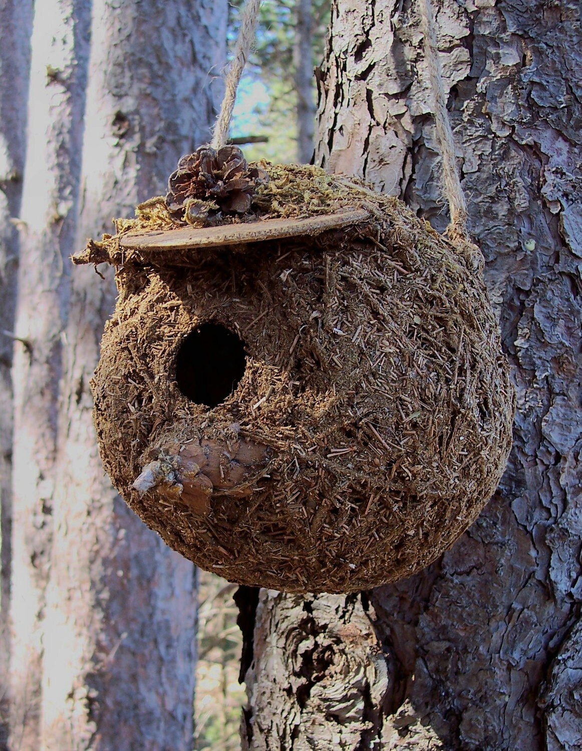 Unique Birdhouse, Round handmade chickadee bird house with pinecone 