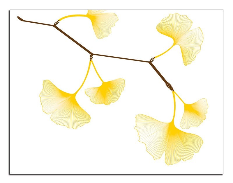 Ginkgo Note Cards (Set of 10)