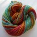 Handspun 260 yds Rainbows - targhee wool yarn