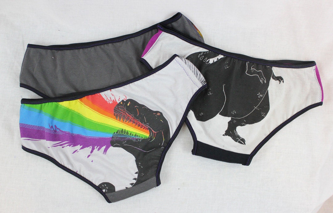 Medium - Pretty Patched Patterns in your Pants - A Threesome of Panties - Underwear Set Purple Rainbow Dinosaur T Rex