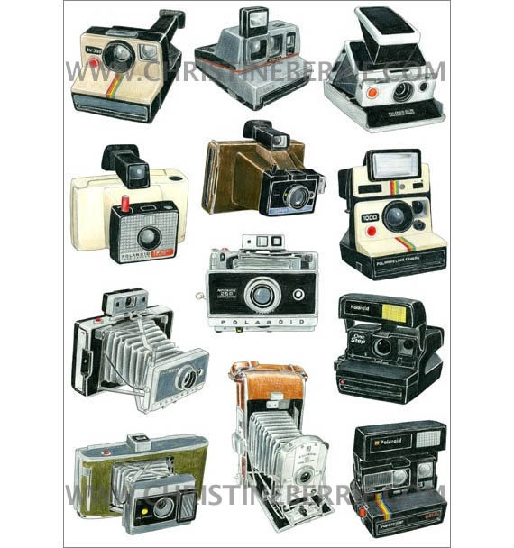 12 POLAROID CAMERAS - limited edition archival print