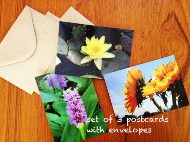 Fresh Flowers Postcard Set with Envelopes (Eco Chic) by Chris