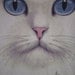 Darling Cat Face Graphic Tee