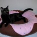 Frosted Donut Pet Bed