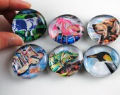 Critter Bubble Magnets, Set of 6