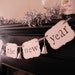 new years party decorations "ring in the new year" sign banner garland