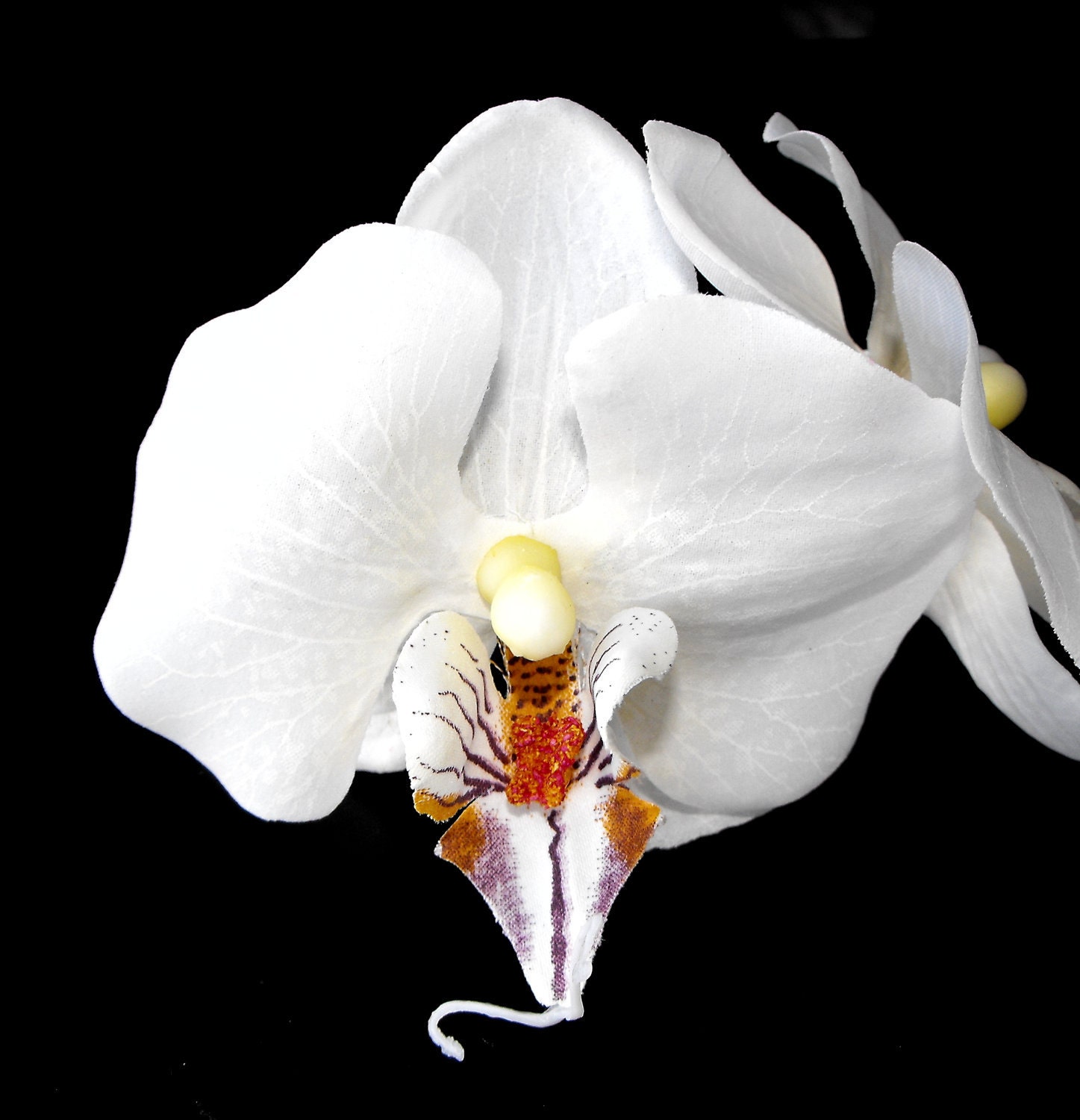2 Orchid Hair Pins, white, silk flowers, shabby chic, bridal hair flower, bridesmaids, tropical, exotic, romantic floral hair accessories