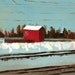 Shed / Print