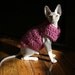 Sphynx Cat Sweater - The Beretta