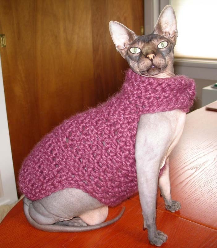 Sphynx Cat Sweater - The Beretta