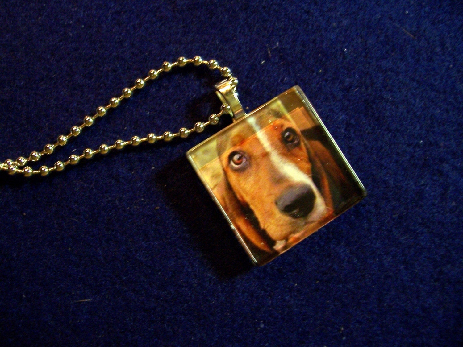 BASSET Hound dog photo glass pendant charm tile necklace magnet or pin dog rescue