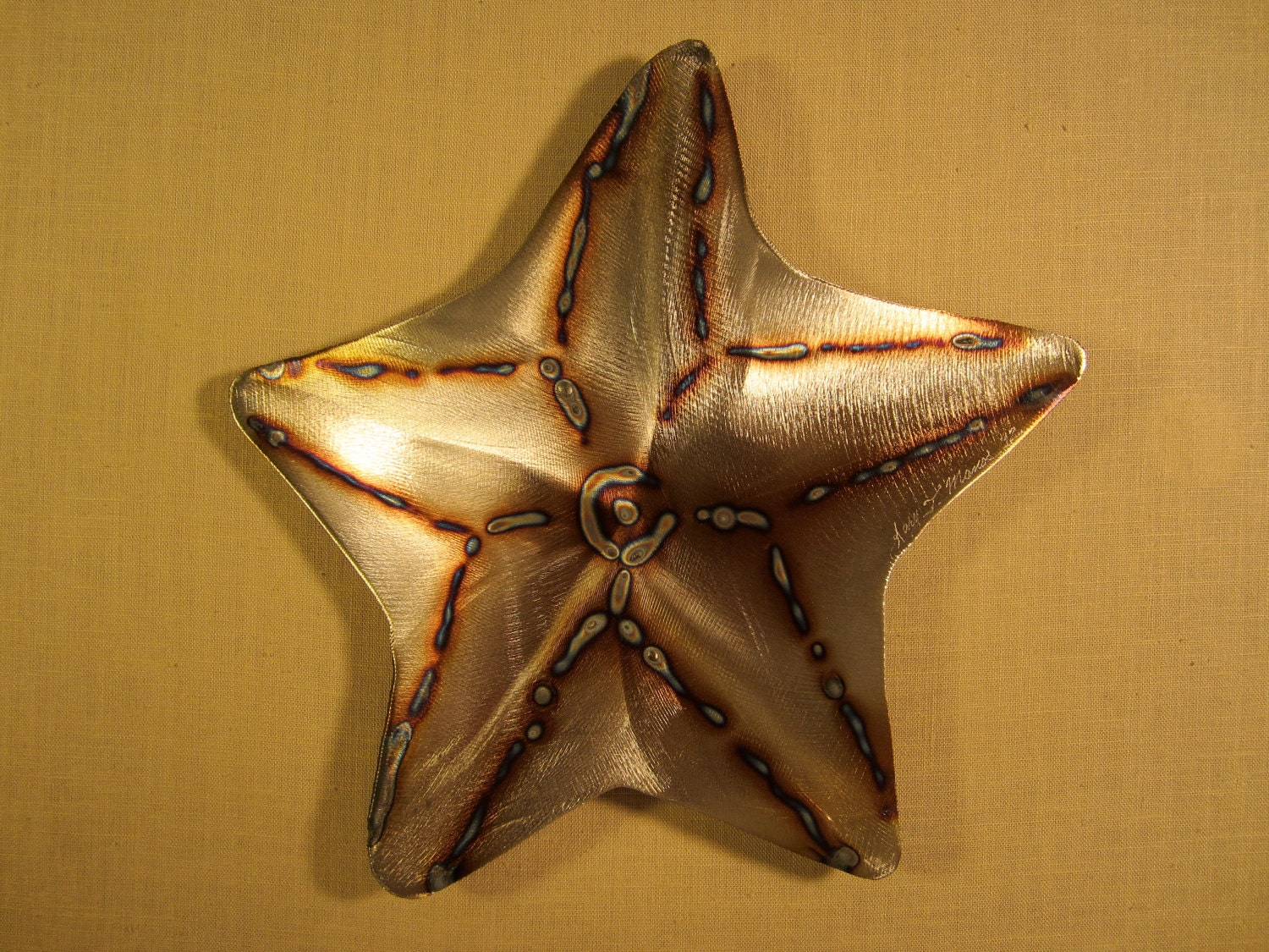 Bat Starfish Star Fish Steel Wall Art Metal Sea Ocean Beach House Coastal Cottage Home Decor Beach Combing Tidal Surf Sand