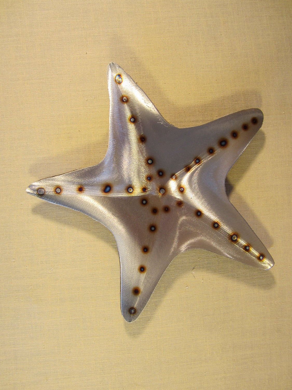 Bat Starfish Star Fish Steel Wall Art Metal Sea Ocean Beach House Coastal Cottage Home Decor Beach Combing Tidal Surf Sand