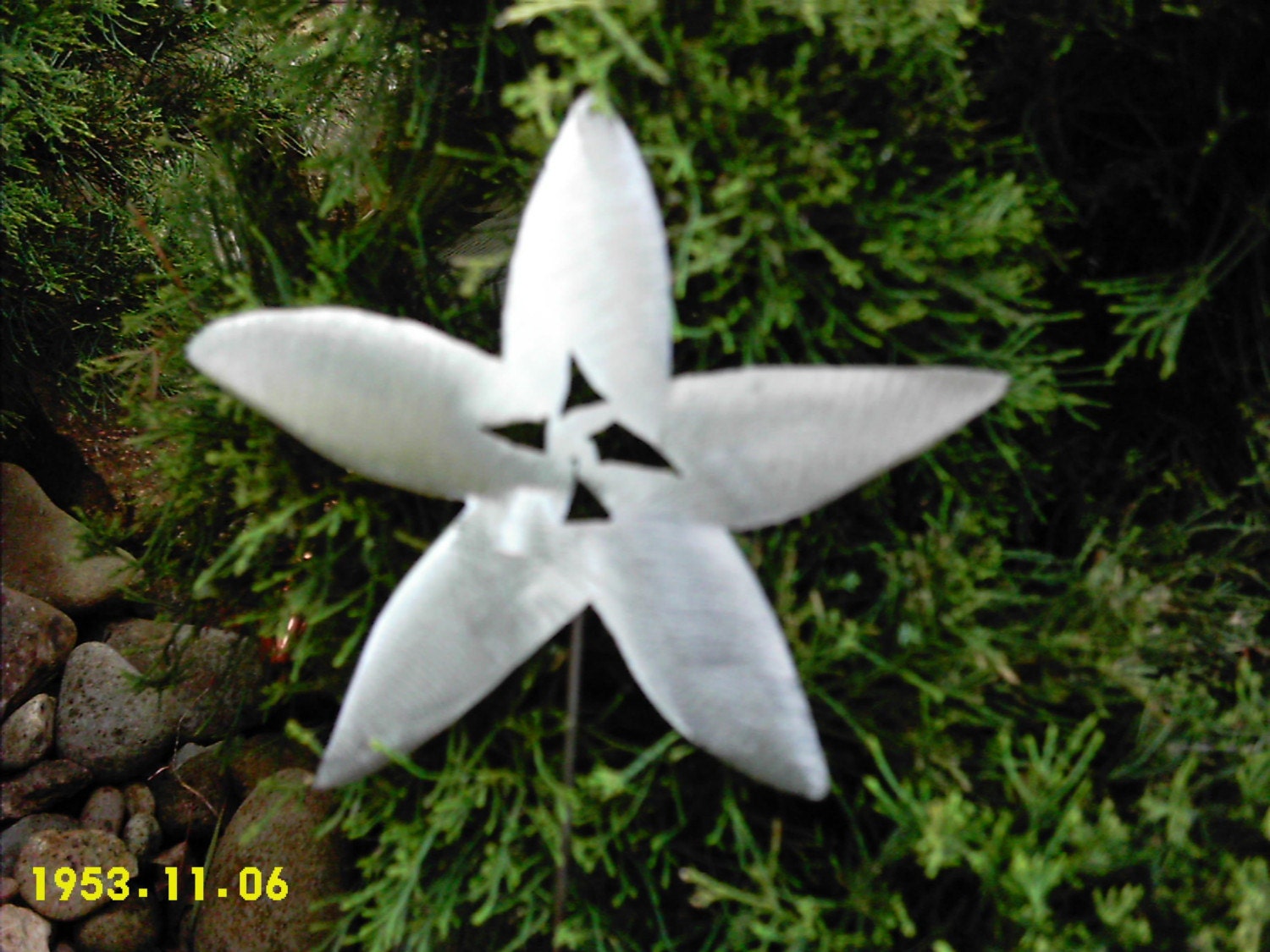 STAR FISH STARFISH STEEL METAL YARD ART GARDEN DECOR PLANT STAKE SPIKE