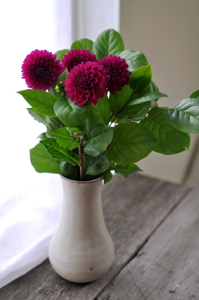 Rustic Cream Vase