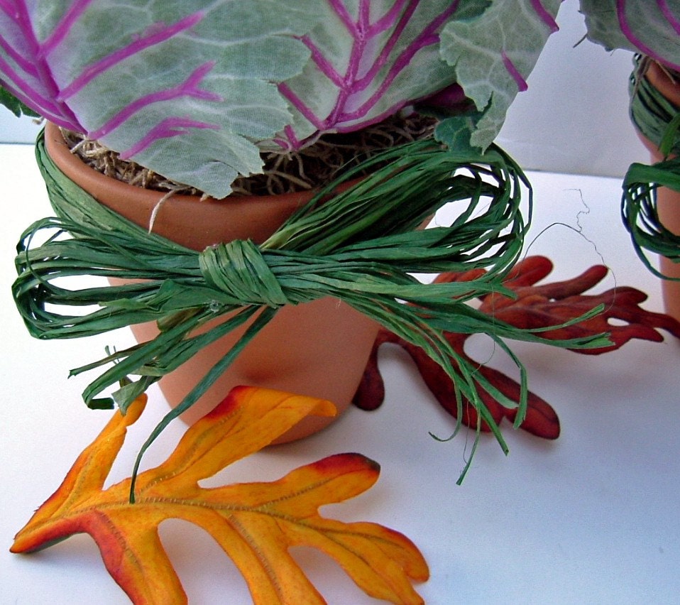Ornamental Cabbage Planter Pair