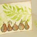 5 Shimmery Pear Note Cards- MADE TO ORDER