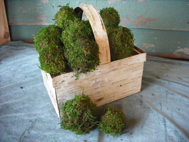 Handmade birch bark basket filled with moss pomander balls for your woodland, rustic, nature home or office.