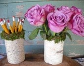 Birch Bark and Moss Pencil cup or flower vase. Made with New Hampshire Bark.