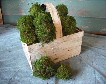 Handmade birch bark basket filled with moss pomander balls for your woodland, rustic, nature home or office.