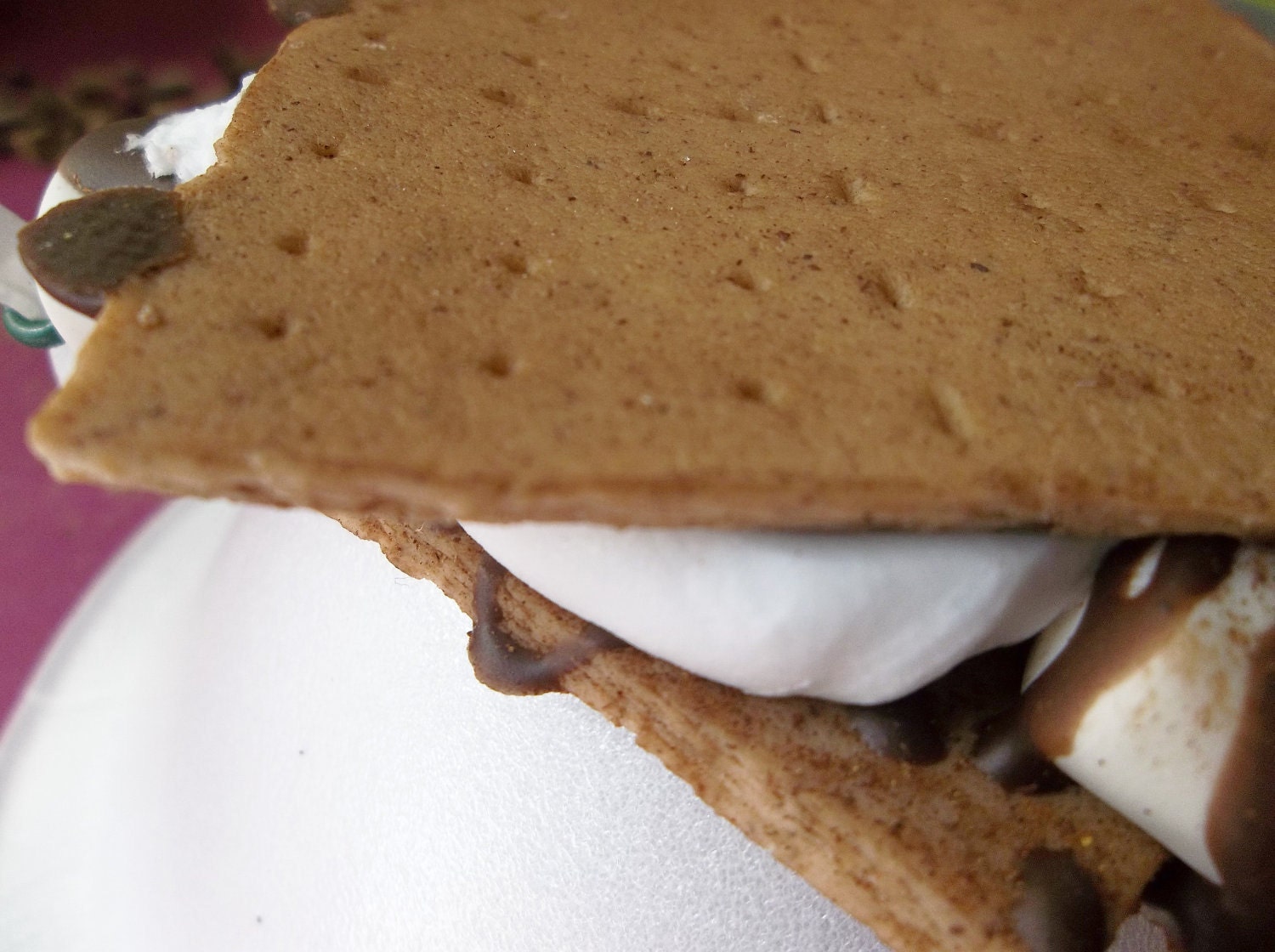 doll food Graham Cracker S mores