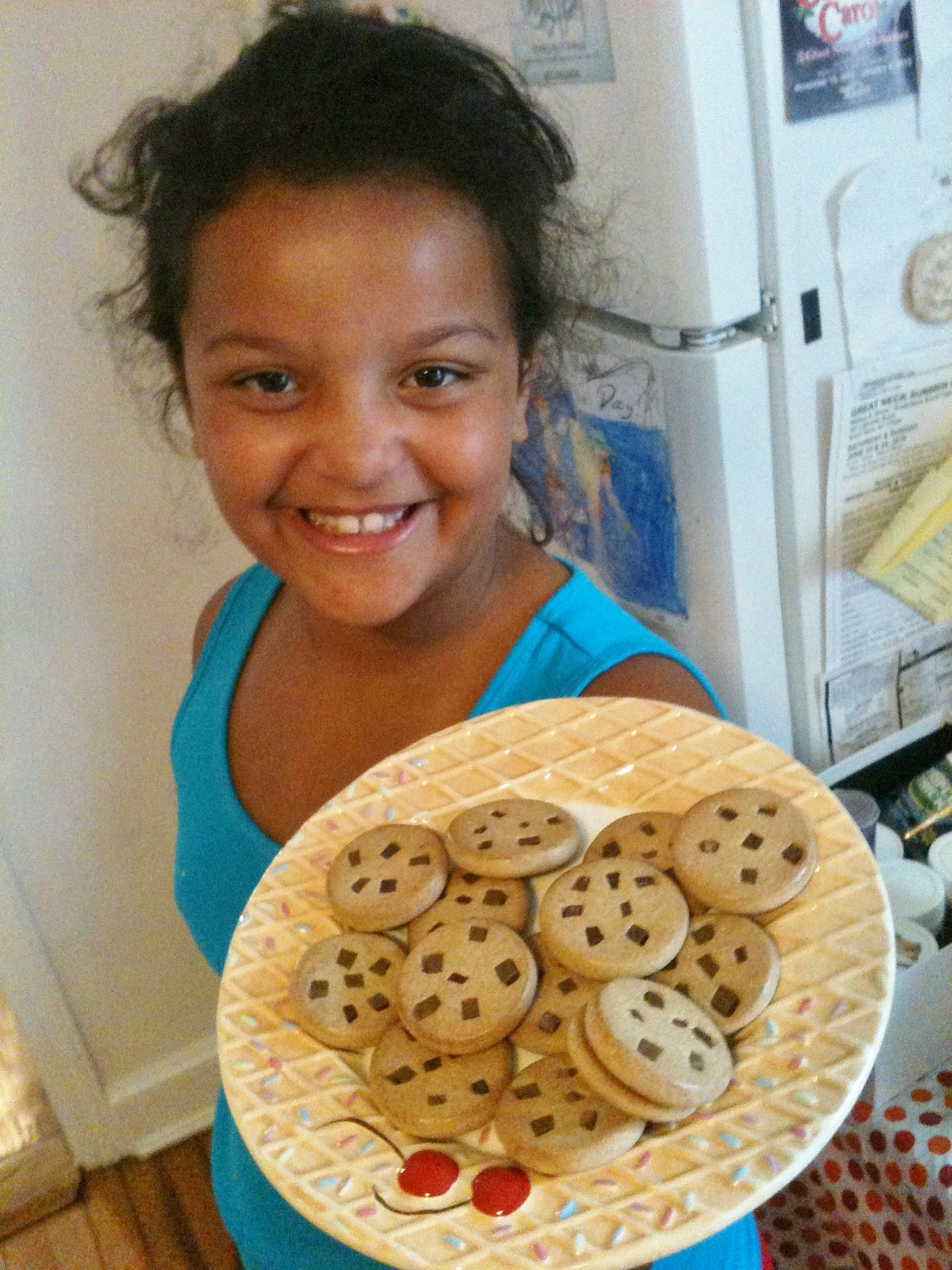 Chocolate Chip Cookie Magnets 14 pc Cookie Exchange