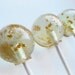New Year 2012 Champagne toast - 12 pc. by Vintage Confections - MADE TO ORDER