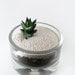 Mini Zen Garden II