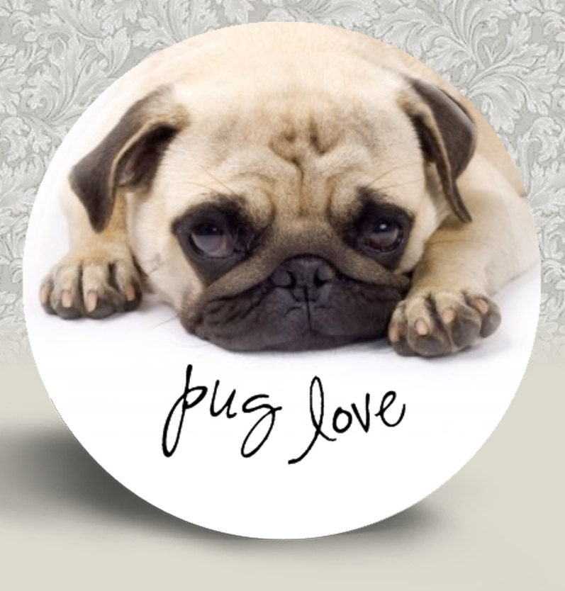 PUG Love Pocket Mirror or Magnet 2.25" 2-1/4" - Buy 2 Get 1 FREE (D120)