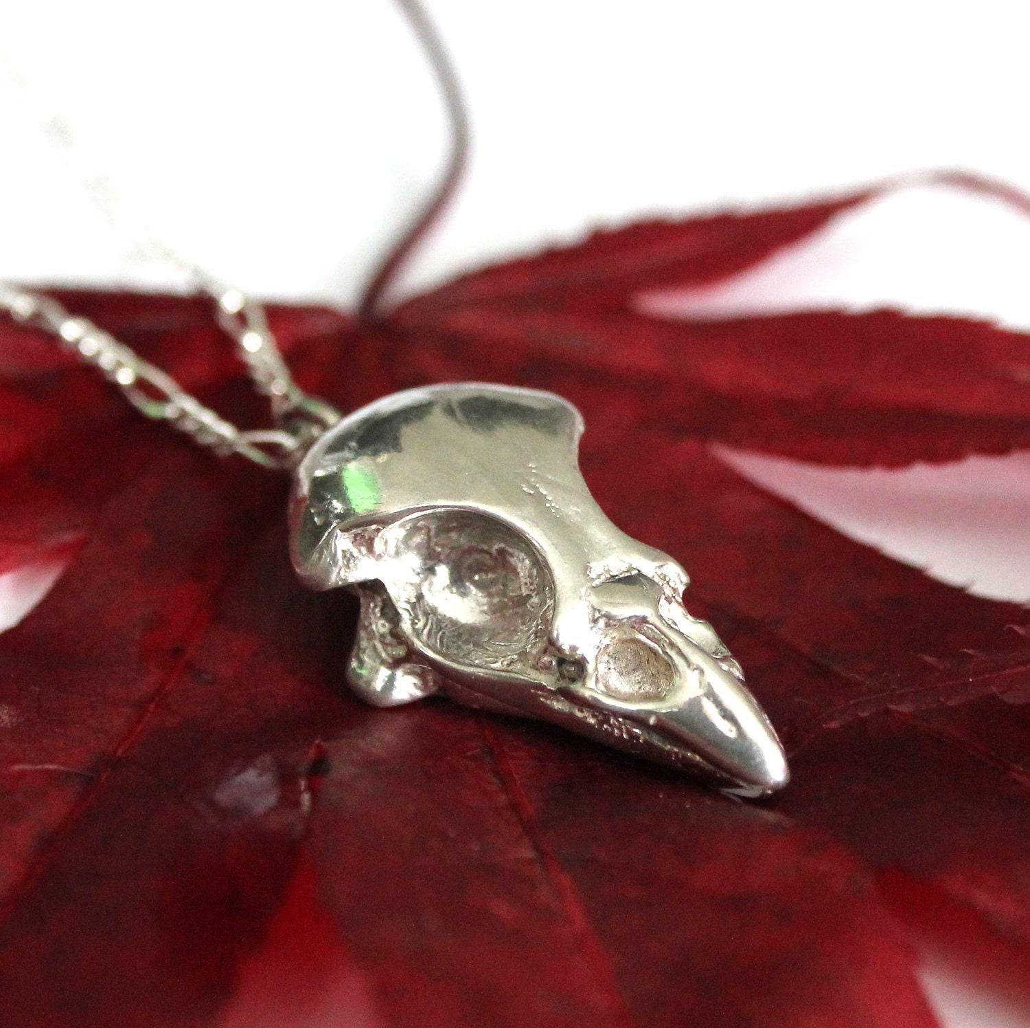Bird Skull Necklace - Solid Sterling Silver Sparrow Skull