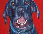 Custom Dog Portrait, Original, 5 x 7 Oil Pastel Painting of Dog, Cat, Horse by BethanyBryant