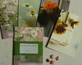 A summer garden. Set of 4 postcards.