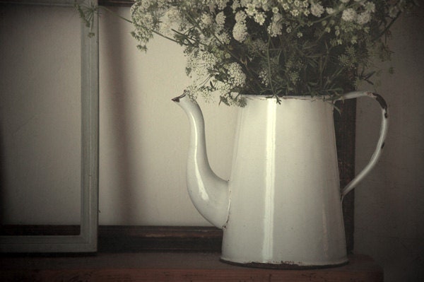 Flower photograph. "Umbels in a pot". Set of four photographs. Fine art photography print. 4,3 x 6,5 inches (13x18 cm)