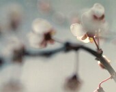 Spring. Pastel. Fine art photography print. 8x8 inches (20x20 cm)