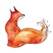 red fox -8.5x11 print