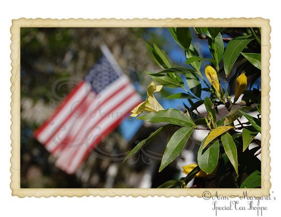 PHOTOGRAPHY Note Cards - Freedom Photo Note Cards - Photographed by AnnMargaretsSpecialT