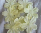 100 Cream ARTIFICIAL SILK Pansy flower petals