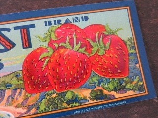 Old Watsonville Strawberry Fruit Label