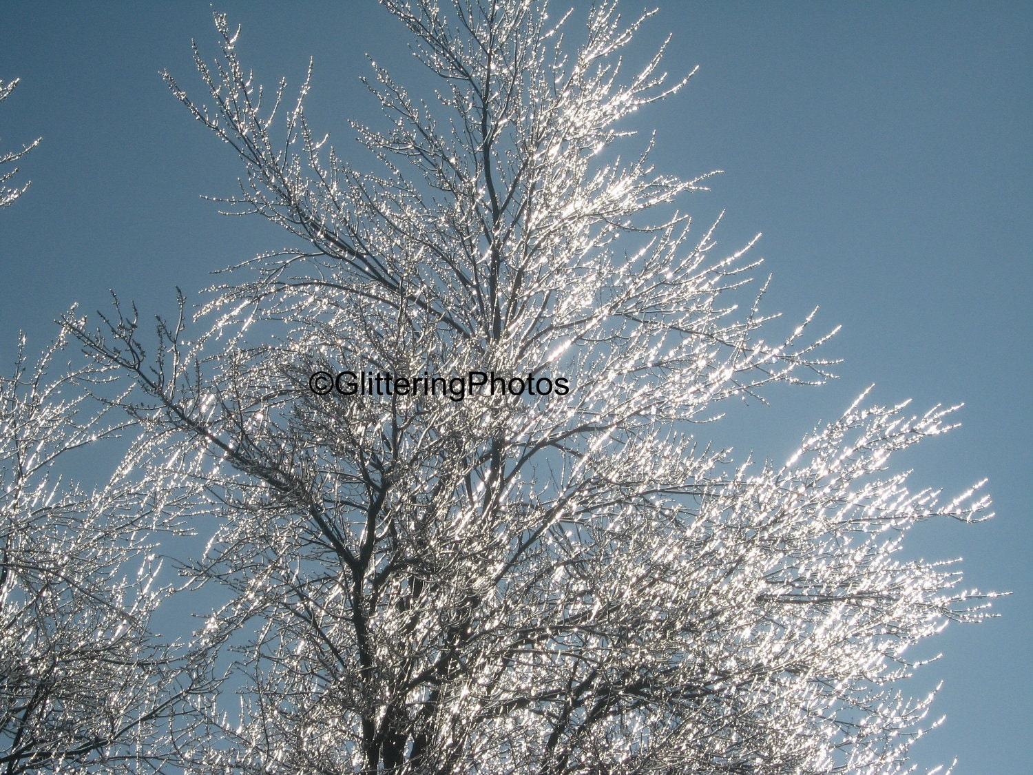 Naturally Glittering Ice No 2 Fine Art Photograph Print Glossy