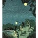 Firefly night