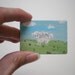 Sheep Painting Dollhouse 1 Inch Scale Handpainted