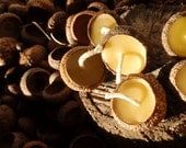 woodland acorn candles (30) --  floating acorn cap candles