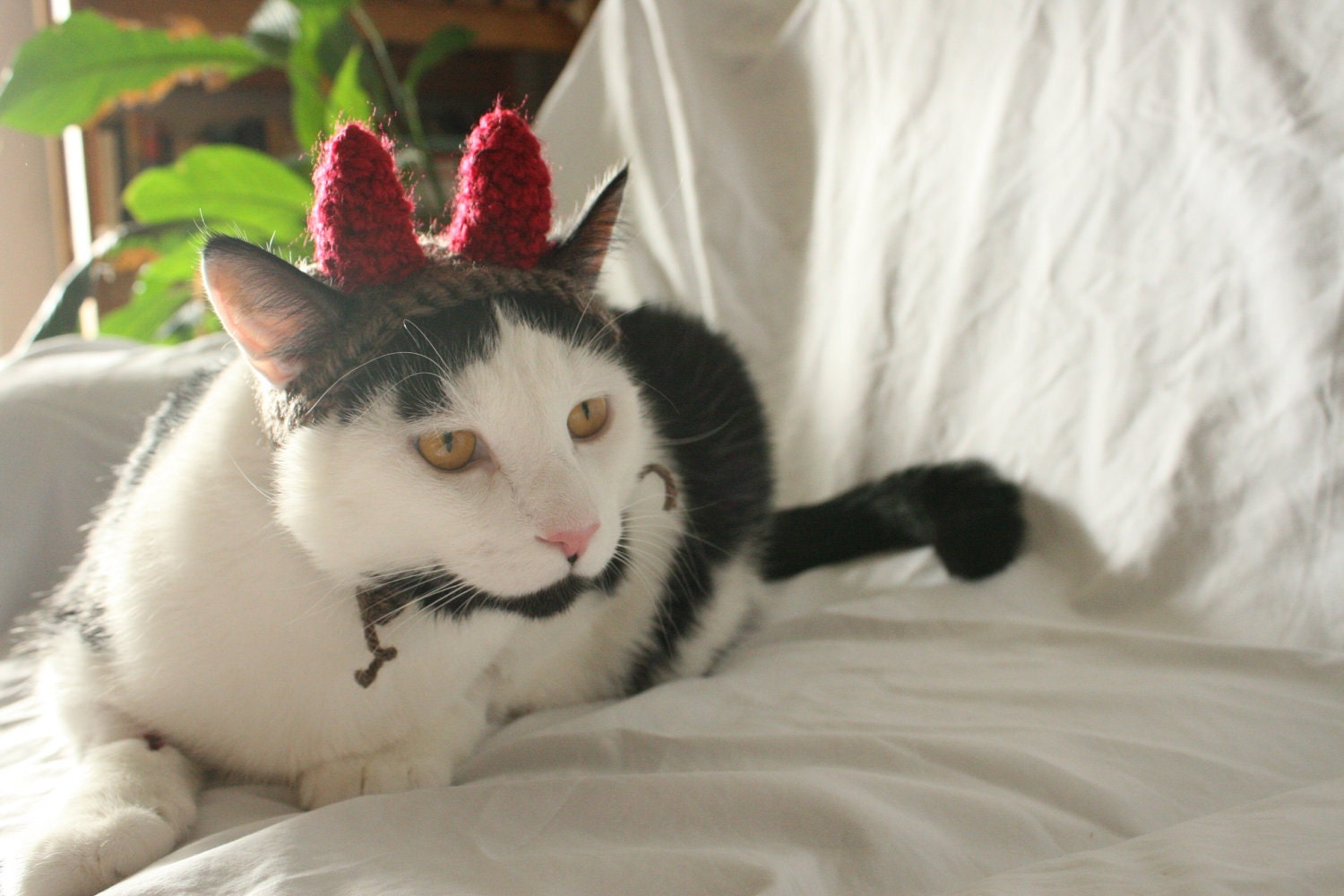 CAT HAT Devil Monster Horns -  ANY Color Made to Order
