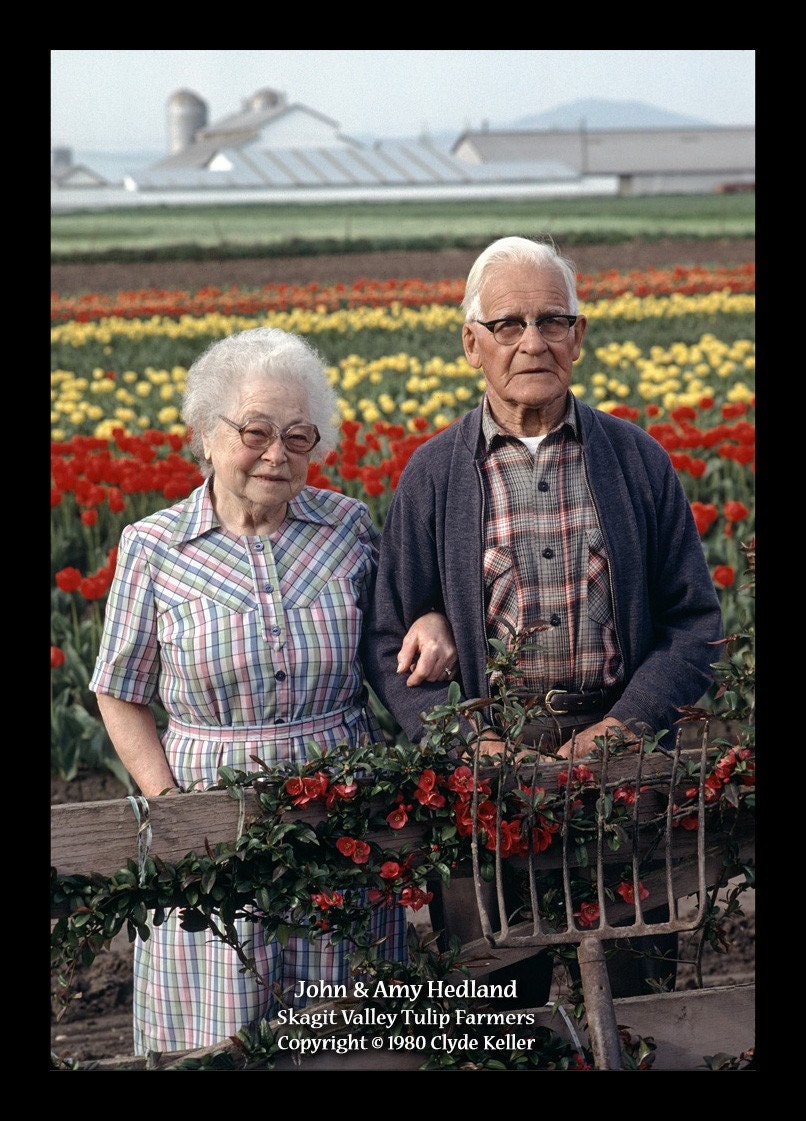 SKAGIT VALLEY SWEETHEATS, Clyde Keller photo, Etsy treasury, large 16x20 Inch art print, signed