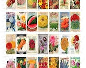 Vintage Seed Packs and Catalogues - INSTANT DOWNLOAD - 1 x 2 inch Domino Size - Digital Collage Sheet