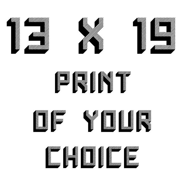 13 X 19 Inch Print of Your Choice