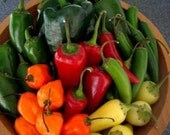 Jalapeno Pepper Jelly Hot Appetizer  Homemade Organic