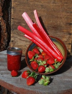 Organic  Strawberry Rhubarb Jam 16 Oz Family Size